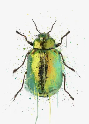 Jewel Beetle' Wall Art Print